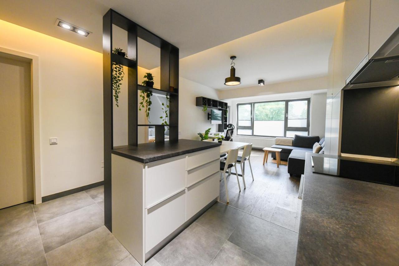 Modern Apartment In A Quiet Area Клуж-Напока Экстерьер фото